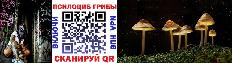 Галлюциногенные грибы прущие грибы наркошоп KRAKEN как войти Гусь-Хрустальный