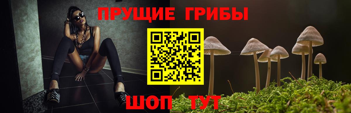 Гусь-Хрустальный  Галлюциногенные грибы мицелий  Вход с VPN 